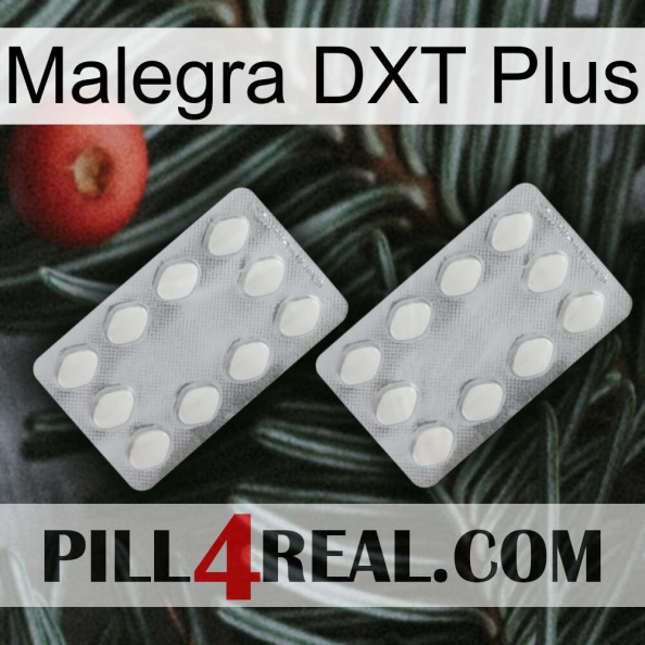 Malegra DXT Plus 17.jpg